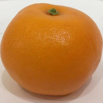 تصویر میوه نارنگی مصنوعی بسته2 عددی 