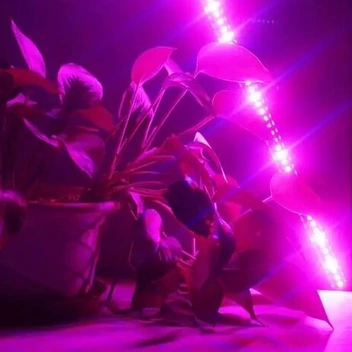 تصویر لامپ رشد گیاه-ریسه رشد گیاه - چراغ اصلی رشد گیاه-لامپ اصلی رشد گیاه 