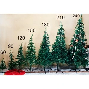 تصویر درخت کاج کریسمس علفی اورجینال سایزبندی 