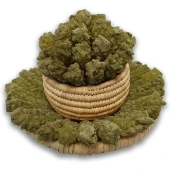 تصویر نبات چوبی چای سبز 